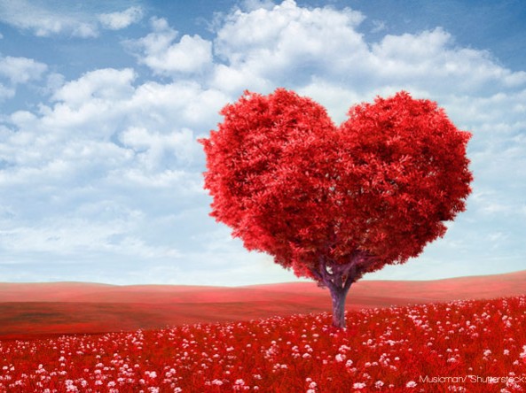 Agencia de comunicación