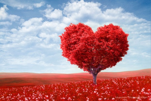 Agencia de comunicación