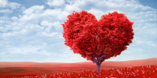 Agencia de comunicación