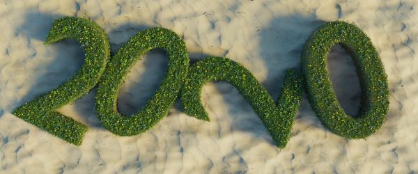 year-2020-4674937_1280